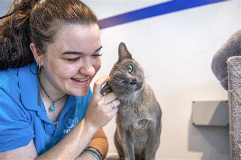 battersea dogs and cats home lottery